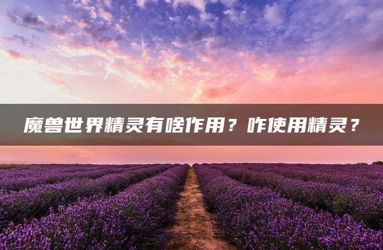魔兽世界精灵有啥作用？咋使用精灵？