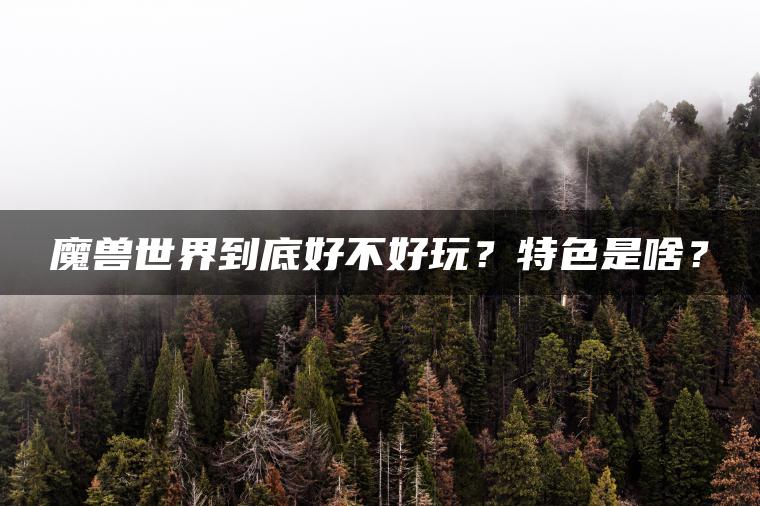 魔兽世界到底好不好玩？特色是啥？