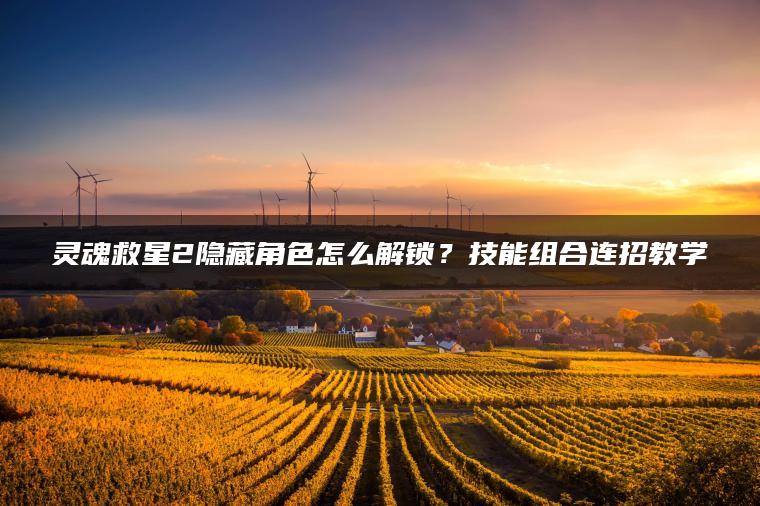 灵魂救星2隐藏角色怎么解锁？技能组合连招教学