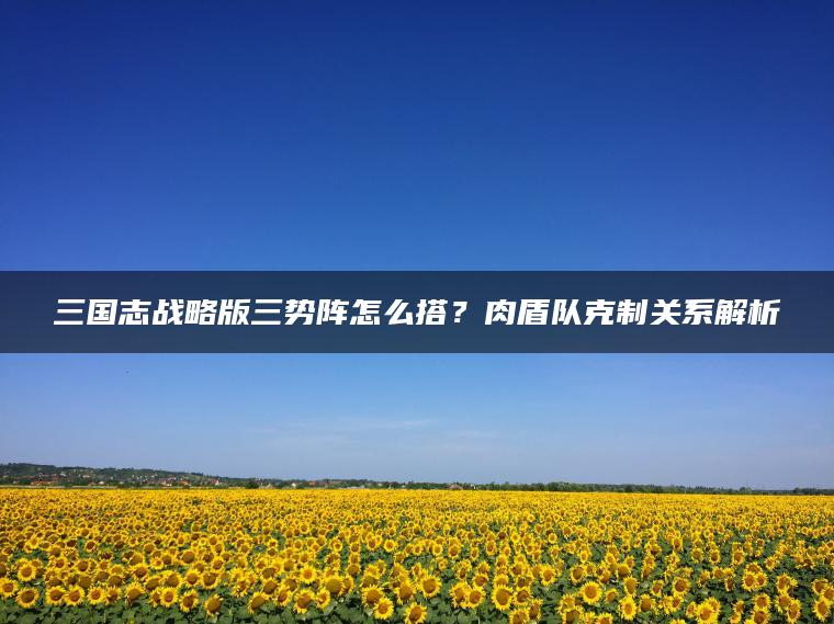 三国志战略版三势阵怎么搭？肉盾队克制关系解析
