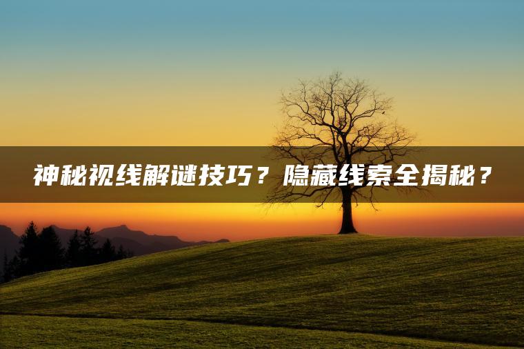 神秘视线解谜技巧？隐藏线索全揭秘？