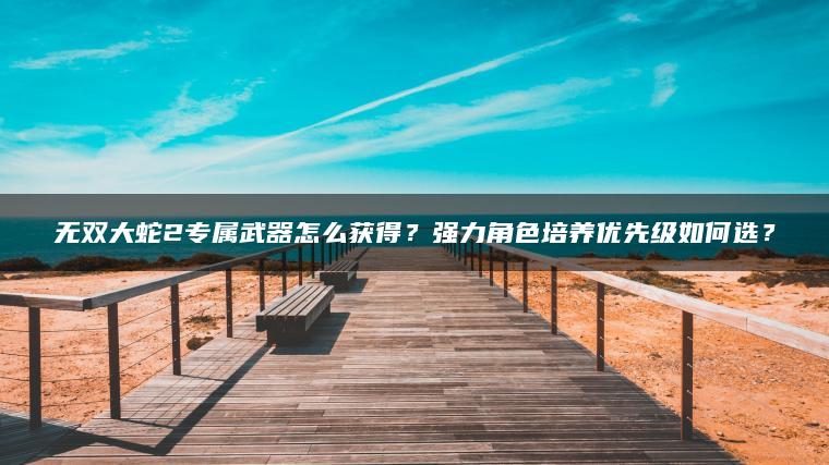 无双大蛇2专属武器怎么获得？强力角色培养优先级如何选？