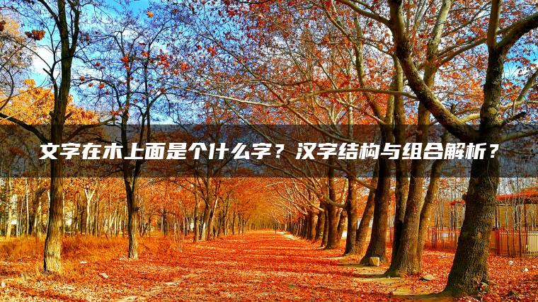 文字在木上面是个什么字？汉字结构与组合解析？