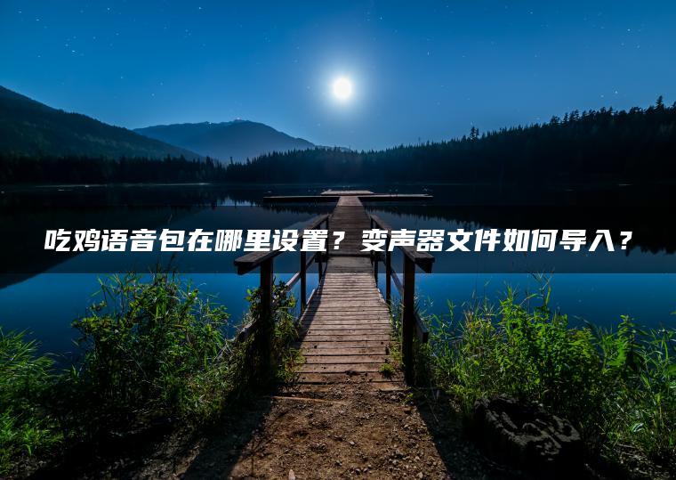 吃鸡语音包在哪里设置？变声器文件如何导入？