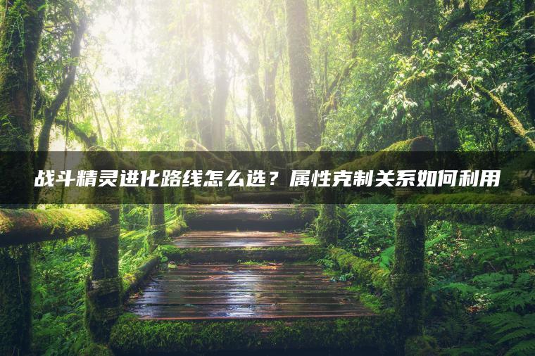 战斗精灵进化路线怎么选？属性克制关系如何利用