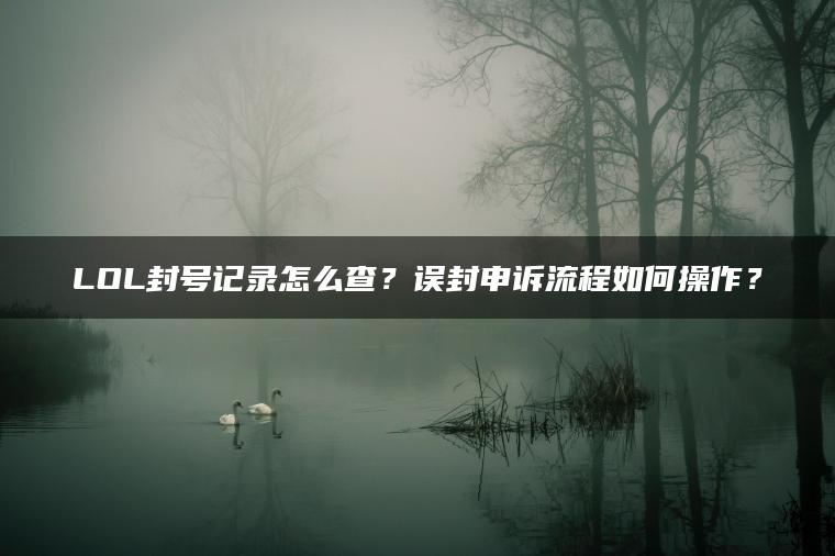 LOL封号记录怎么查？误封申诉流程如何操作？