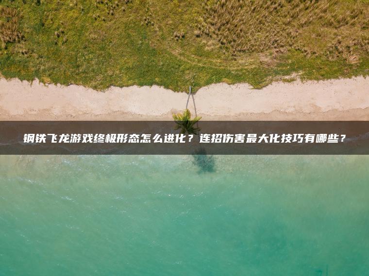 钢铁飞龙游戏终极形态怎么进化？连招伤害最大化技巧有哪些？