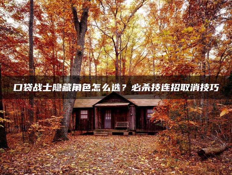 口袋战士隐藏角色怎么选？必杀技连招取消技巧