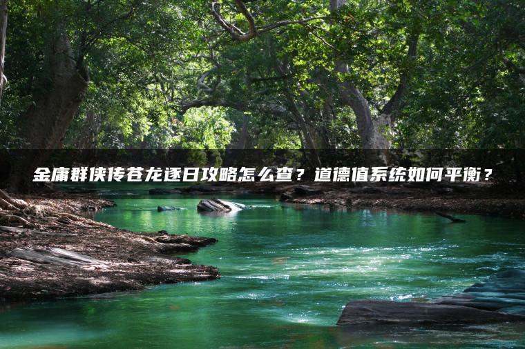金庸群侠传苍龙逐日攻略怎么查？道德值系统如何平衡？