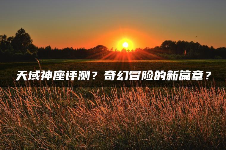 天域神座评测？奇幻冒险的新篇章？