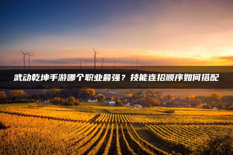 武动乾坤手游哪个职业最强？技能连招顺序如何搭配