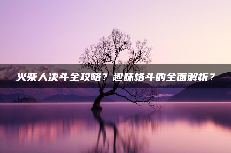 火柴人决斗全攻略？趣味格斗的全面解析？