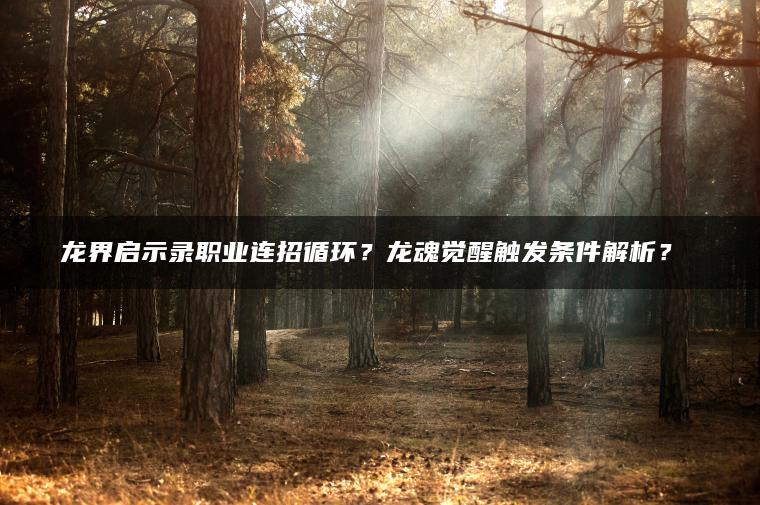 龙界启示录职业连招循环？龙魂觉醒触发条件解析？​​